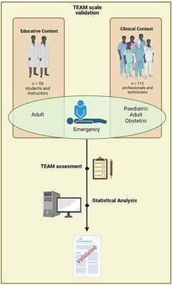 Application of the Team Emergency Assessment Measure Scale in undergraduate medical students and interprofessional clinical teams: validity evidence of a Spanish version applied in Chile